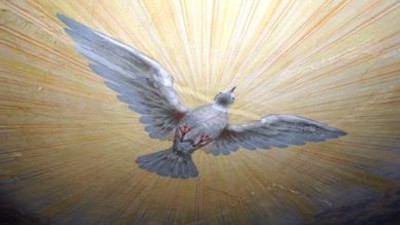 Ein weißer Taube fliegt vor einem hellen, strahlenden Hintergrund