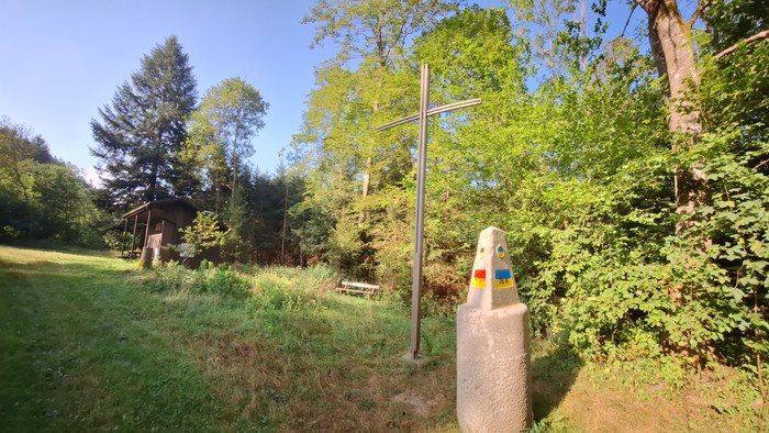 Ein bunter Wegweiser steht in einem grünen Waldgebiet.