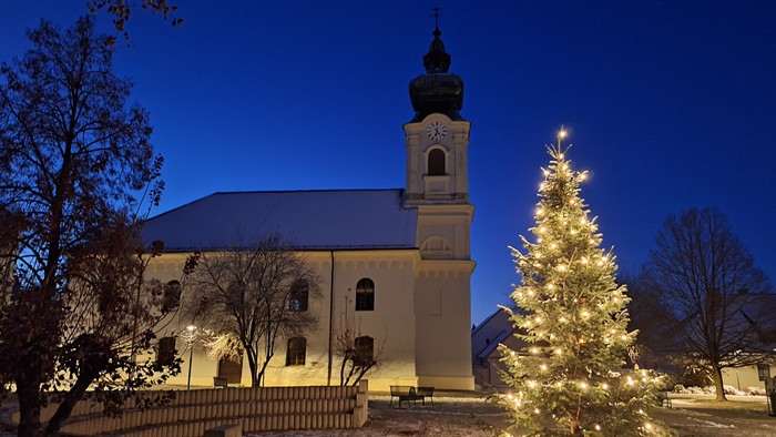 Weihnachtsbaum vor Kirche bei Nacht