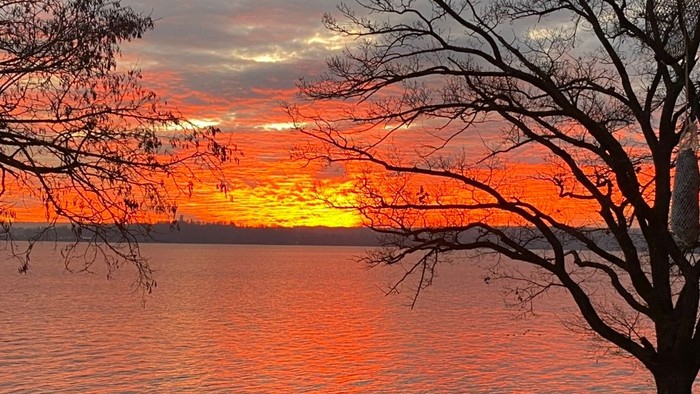 Ein Baum vor einem See bei Sonnenuntergang