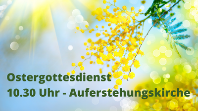 Blühende Pflanze vor blauem Hintergrund mit Text "Ostergottesdienst 10.30 Uhr - Auferstehungskirche"