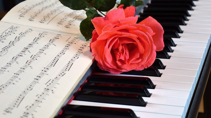 Eine Rose liegt auf den Tasten eines Klaviers neben Notenblättern