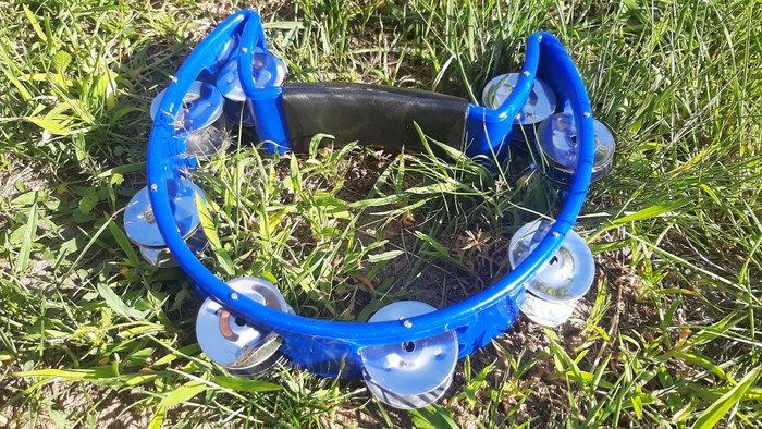 Musikinstrument liegt auf der Wiese