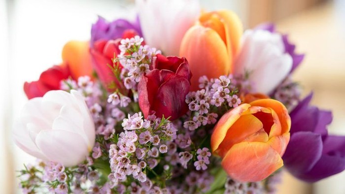 Ein farbenfroher Blumenstrauß mit Tulpen und kleinen weißen Blüten.