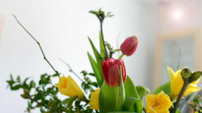 Ein lebendiger Strauß mit roten Tulpen und leuchtend gelben Blumen in einer grünen Blattarrangement.