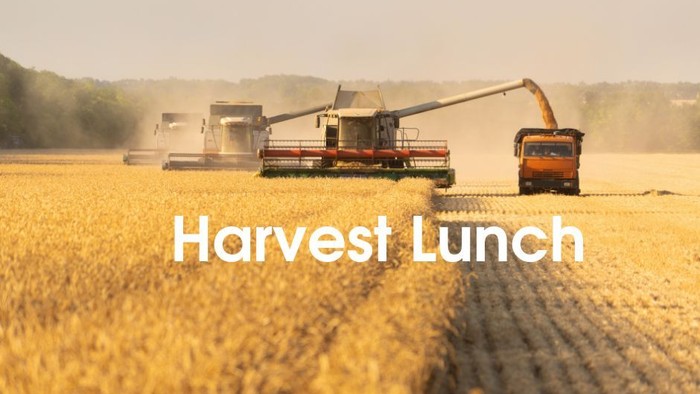 Combine harvesters working in a golden wheat field during sunset.