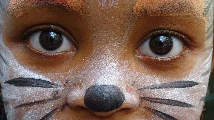 Ein Kind mit Tiger-Gesichtsmalkunst auf dem Gesicht