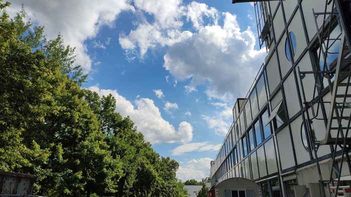 Helles Sonnenlicht erhellt ein modernes Gebäude neben üppigen grünen Bäumen