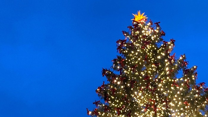 Ein Weihnachtsbaum mit bunten Lichtern vor einem klaren blauen Himmel