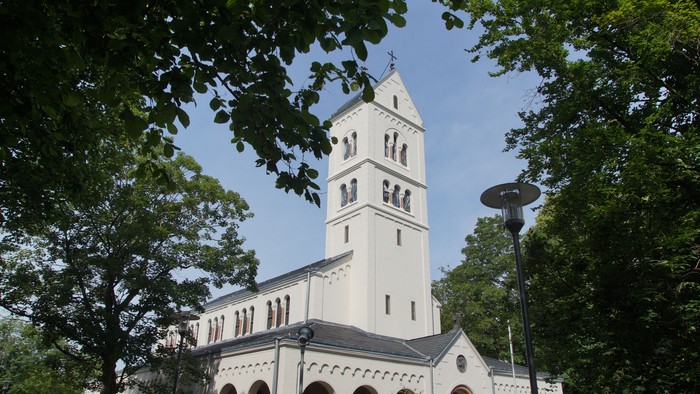 Weiße Kirche mit hohem Turm und Uhr, umgeben von Bäumen