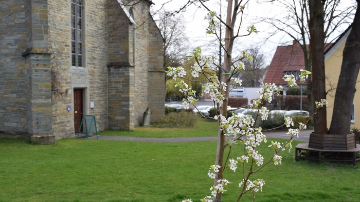 Es ist der Seiteneingang der Evangelischen Kirche in Bad Sassendorf zu sehen.