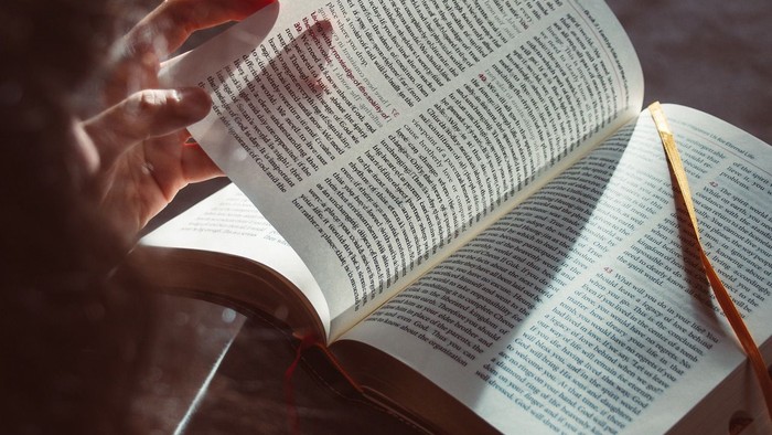 Eine Person liest ein aufgeschlagenes Buch.