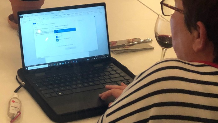 En gruppe af voksne sidder ved et bord med vin og en laptop.