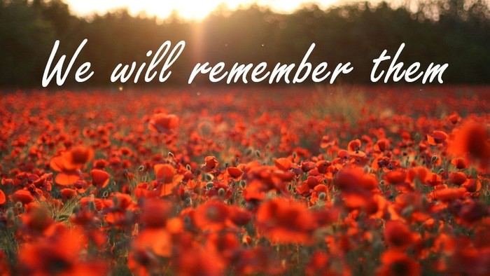 A field of red poppies with the text 