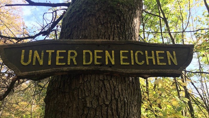 Holzschild mit der Aufschrift *„Unter den Eichen“*, das an einem Baumstamm in einem Waldgebiet befestigt ist.