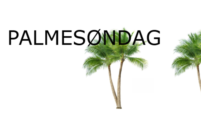 To palmetræer står ved siden af hinanden.