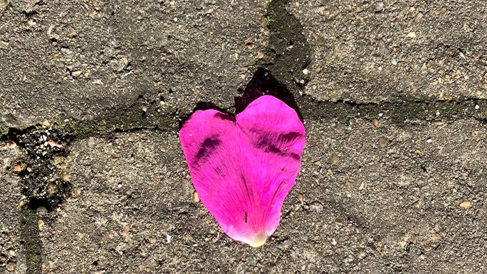 En rosa papirhjerte er fastnet på en mur.
