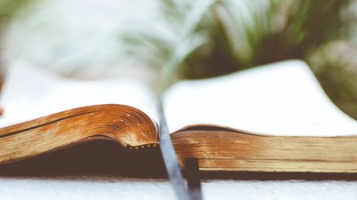 Ein offenes Buch mit einem Lesebändchen auf einer Seite, umgeben von Grünpflanzen.