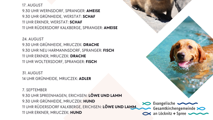 Das Plakat zeigt verschiedene Tiere und Daten zu biblischen Ereignissen.