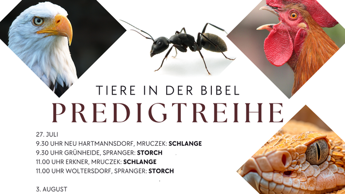 Das Plakat zeigt verschiedene Tiere und Daten zu biblischen Ereignissen.