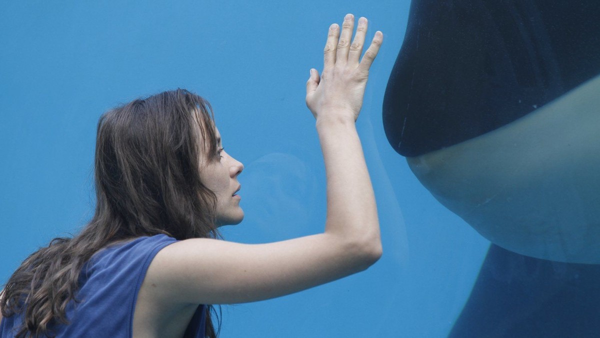 Pitshanger Pictures - "Rust and Bone" (15) 118 mins