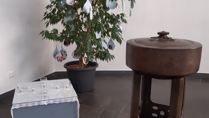 Pflanze in Topf, Hocker und Karton auf Boden