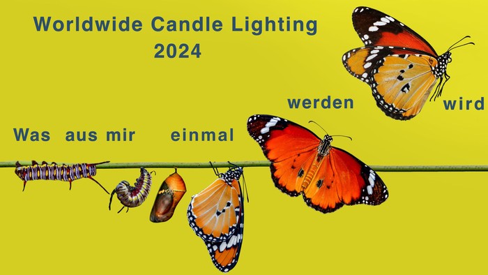 Bild zeigt Schmetterlingsentwicklung mit Text in Deutsch und Datum 2024