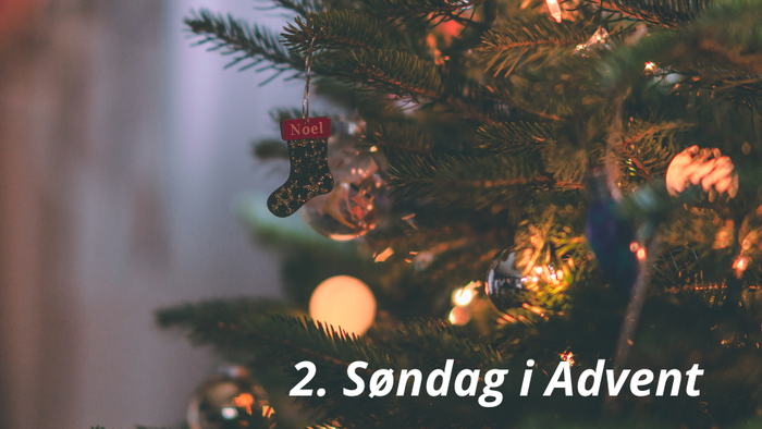 **Juletræ pyntet med lys og julepynt, inklusive en seddel med påskriften 