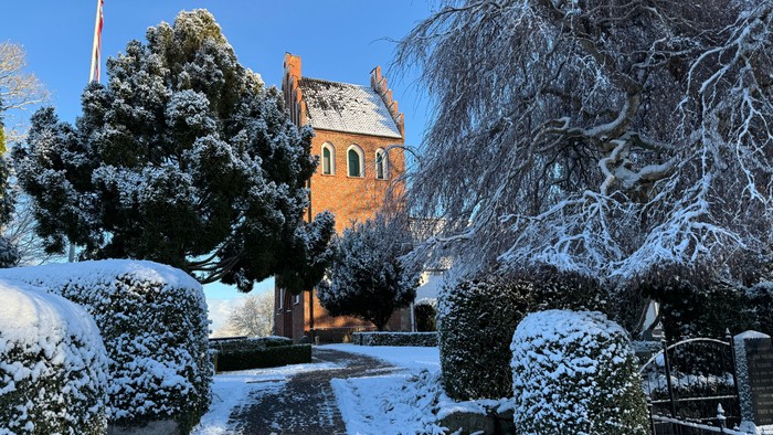 Snødekte træer og kirke i vinterlandskab