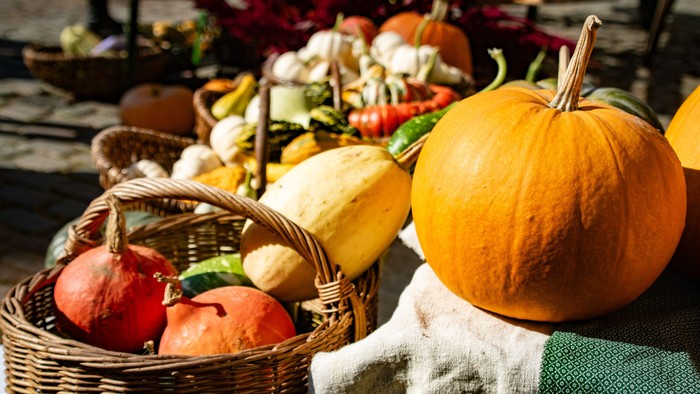 Ein Korb mit verschiedenen Gemüse und Kürbissen, darunter eine große orangefarbene Kürbis, liegt auf einem Tisch.