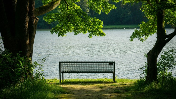 Ein einsamer Metallbänkt steht am Seeufer unter Bäumen