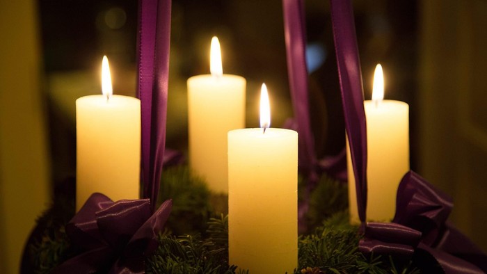 Firelyse på grønne grene med violette bänder