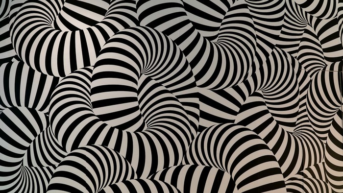 Komplekst sort-hvidt zebrastribe-mønster, der skaber et abstrakt, fængslende optisk illusion.