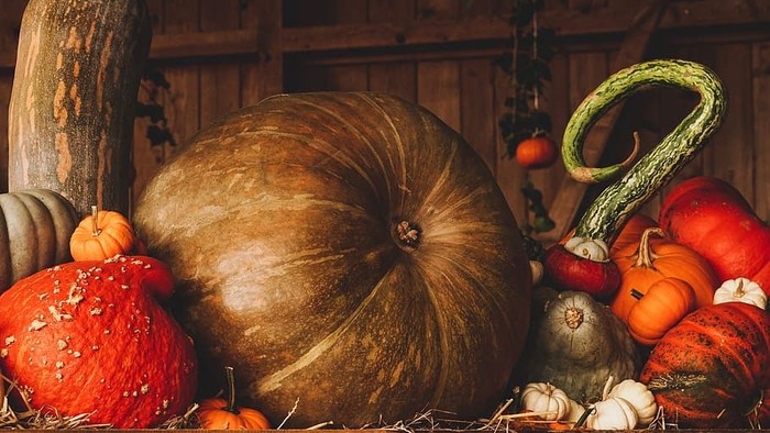 Various pumpkins and gourds displayed on wooden surface.