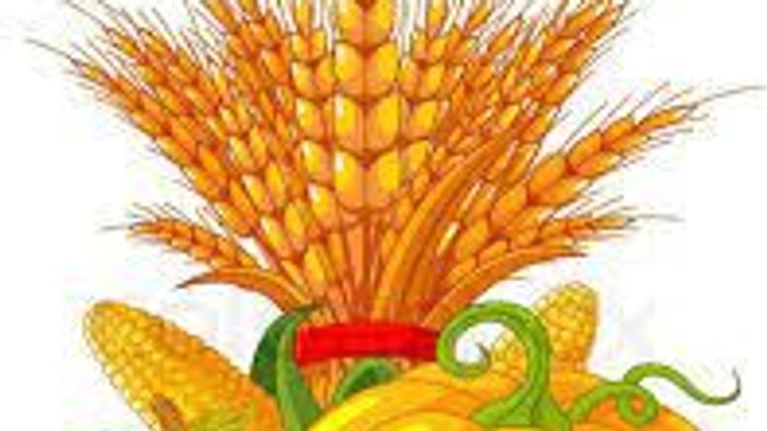 Billede af høstfrugt med korn, pærer, pæroner og pæpperonis.