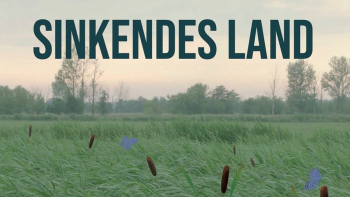 Plakat für den Gottesdienst mit dem Film "Sinkendes Land" - eine Moorlandschaft mit Rohrkolben