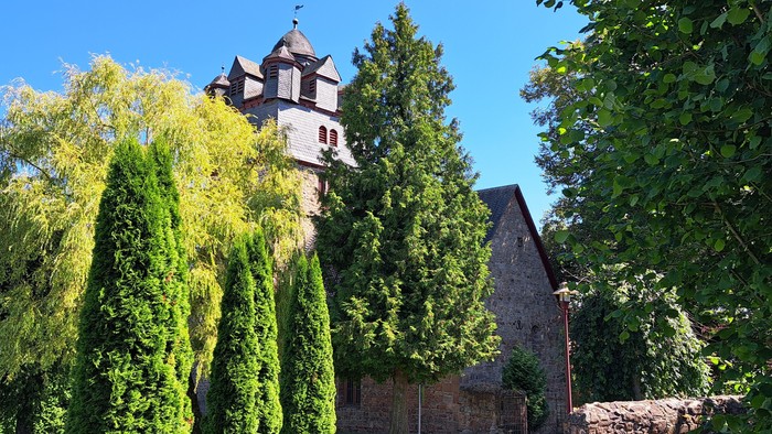 Hohe Burg mit spitzem Dach, umgeben von üppig grünen Bäumen und klarem blauem Himmel.
