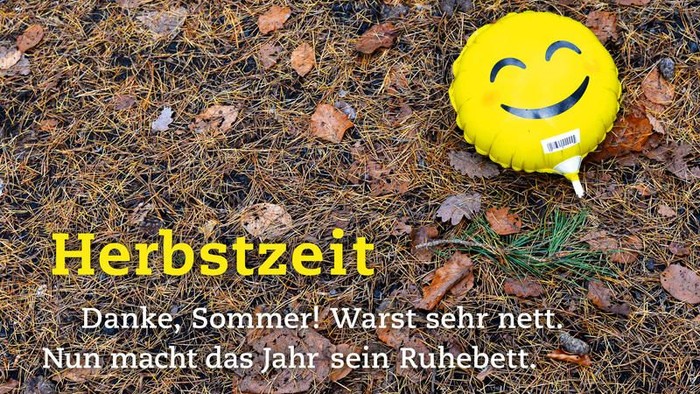 Ein gelber, lächelnder Luftballon liegt auf einem Boden mit trockenen Blättern und einem kleinen Tannenzweig.
