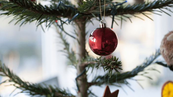 En julestjerne og en rød glaskugle hænger på en juletree
