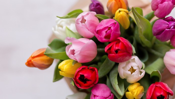 A vibrant bouquet of tulips in various colors including pink, red, yellow, and orange.