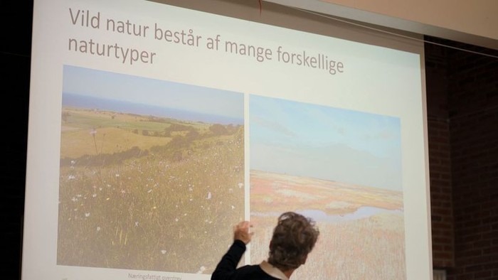 Mand pointerer på billedet af naturen
