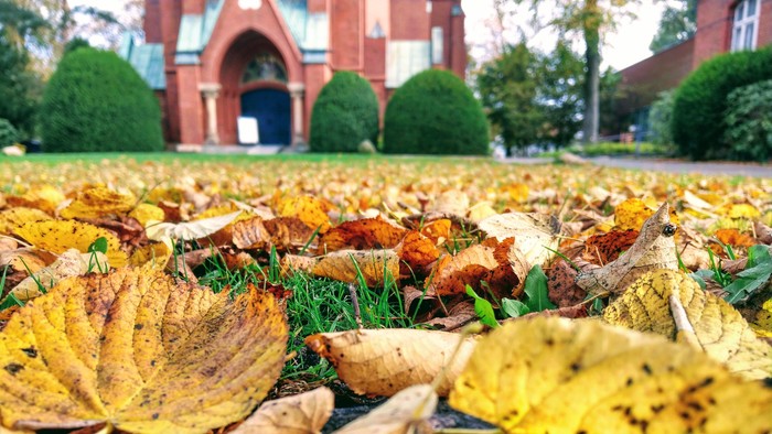 Herbstblätter liegen auf dem Boden vor einem Gebäude