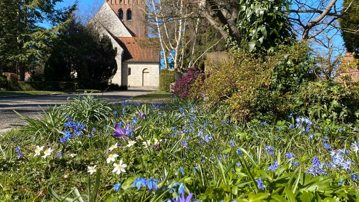 Kirke med forårsblomster i forgrunden