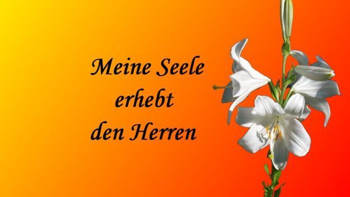 Weiße Lilie vor orangefarbenem Hintergrund mit deutschem Text