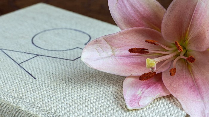 Eine rosa Lilie liegt auf einem weißen Buch mit der Zahl 19.