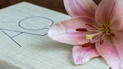 Eine rosa Lilie liegt auf einem weißen Buch mit der Zahl 19.