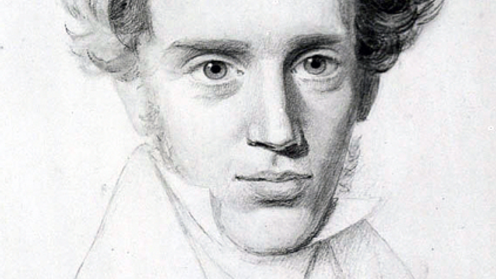 Portræt af en mand med hårder og skulderparti.