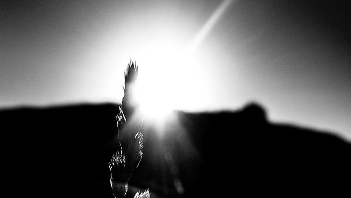 En person på scenen med mikrofon og lys.