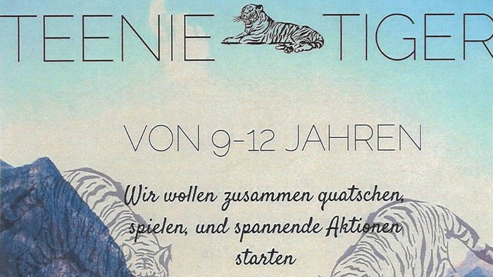 Buchcover mit Tigern und Bergen