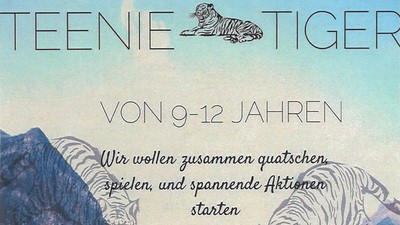 Buchcover mit Tigern und Bergen